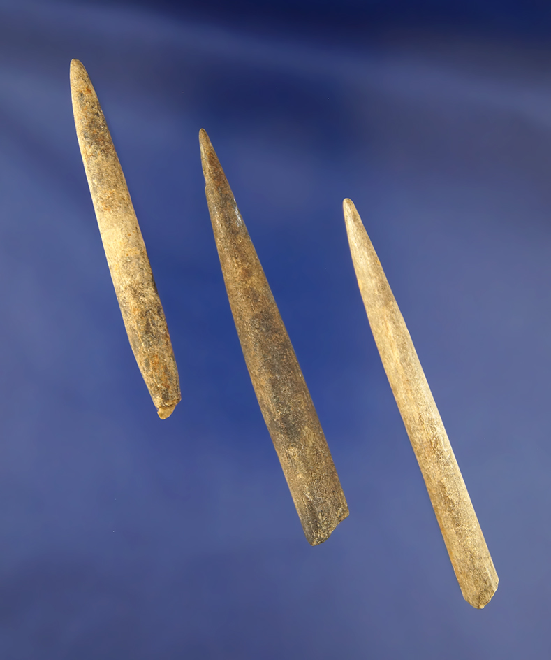 Set of three Bone Projectile Points found in Tennessee, largest is 3 1/8".