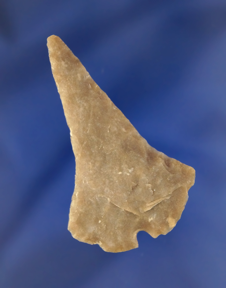 Uniquely styled 2 3/16" Carrizo found in Texas.