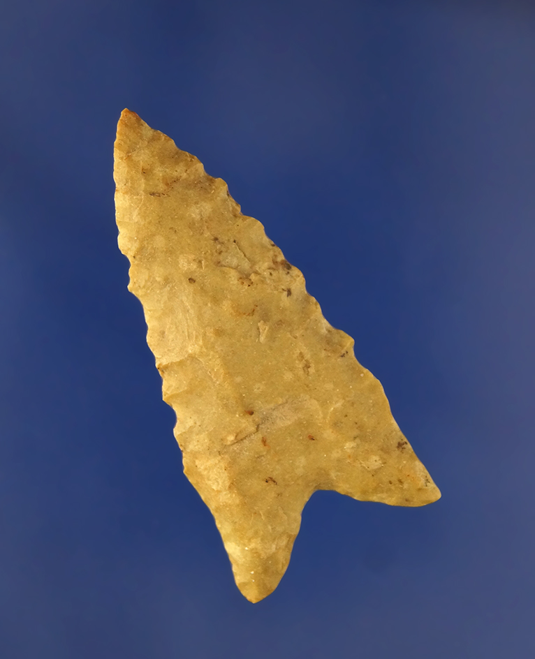 2 1/16" classic style Dalton found in clay Co., Arkansas.