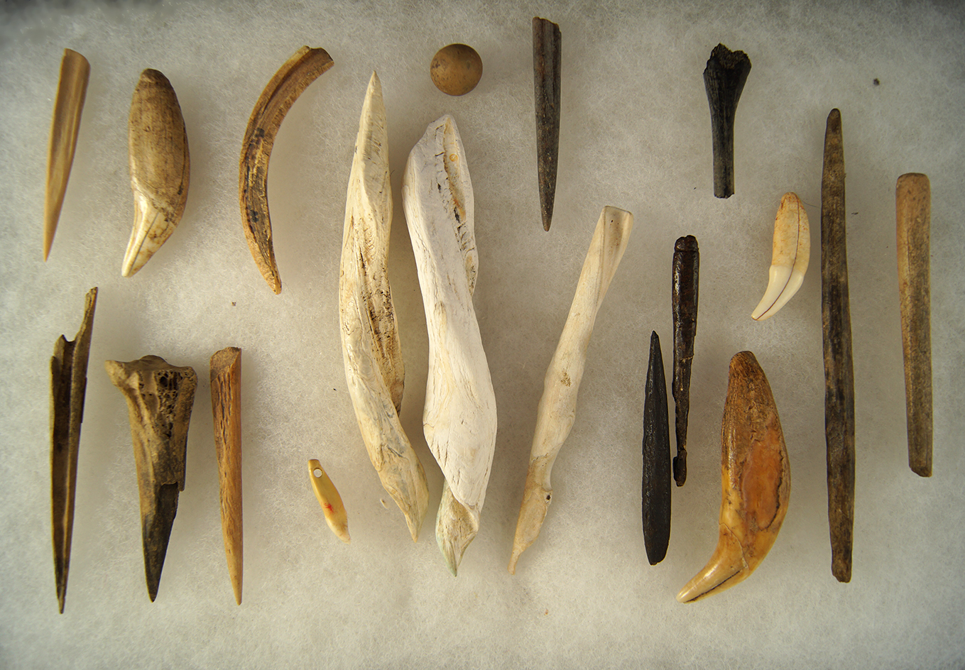 Large group of assorted Midwestern bone and shall artifacts, largest is 4 3/4".