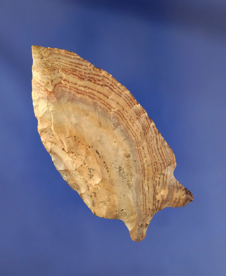 2 3/4" Buzzard Roost Creek made from beautifully banded Buffalo River Chert  - Tennessee.