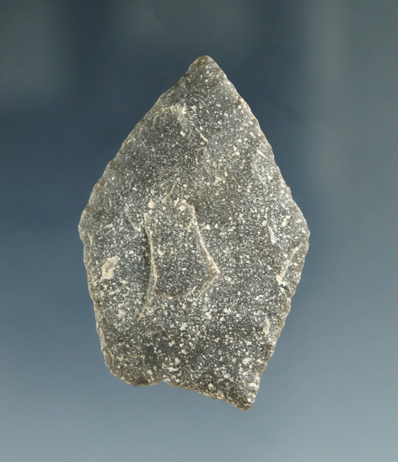 Rare style! 1 5/8" Paleo Crowfield found in Chautauqua Co. New York.  Rogers COA.