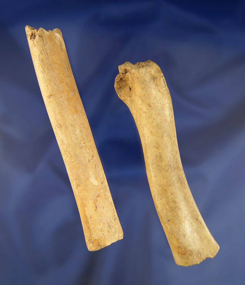 Nice pair of bone Knife Handles, largest is 5 3/8" found in Greenup Co., Kentucky.