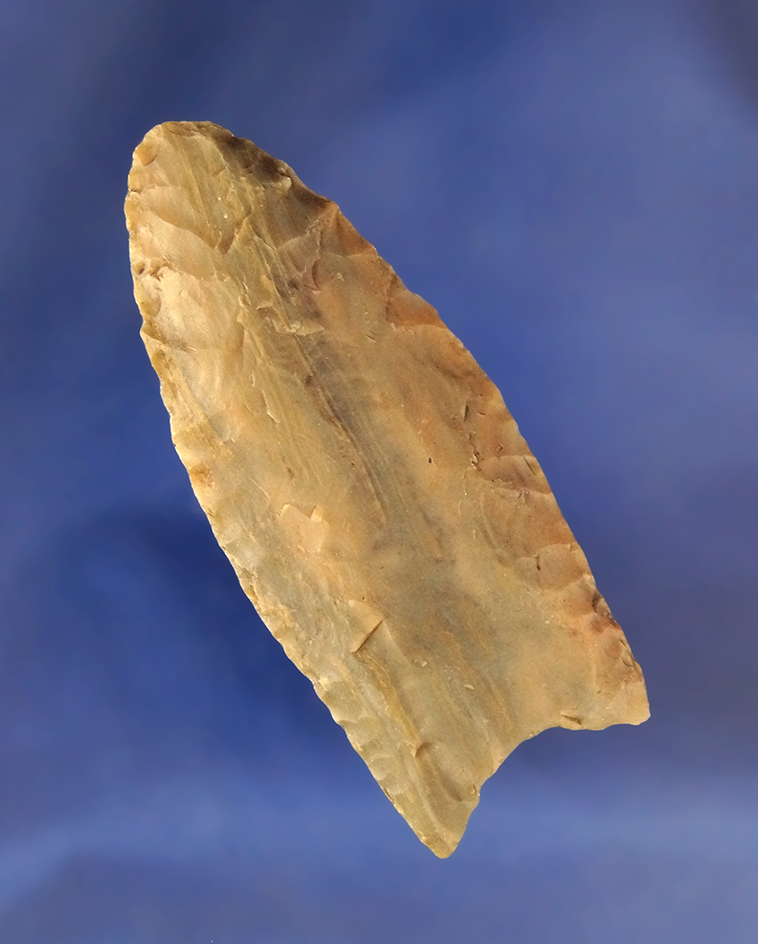 2 1/2" Paleo Fluted Clovis made from beautifully banded Carter Cave Flint Hardin Co., KY.  3 COA's.