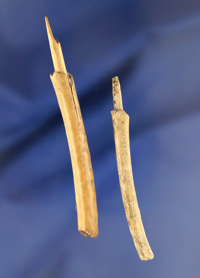 Rare! Pair of hafted bone awl's in their original haft found in a dry cave in Klamath County Oregon.