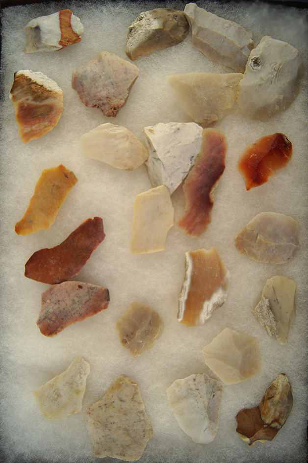 Frame of 24 Bladelets from the Archer Collection.  Largest is 2 3/4".