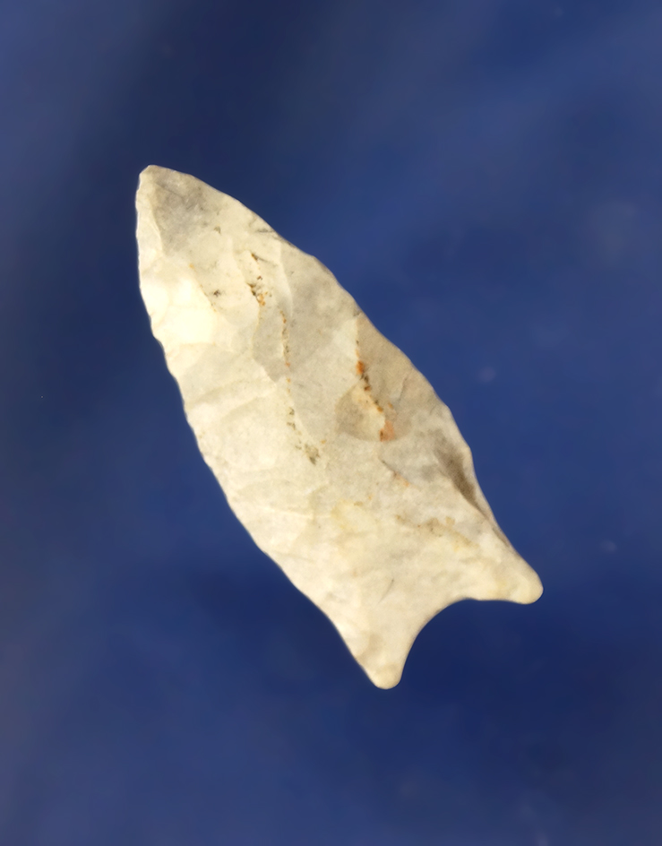 1 5/8" Miniature Paleo Cumberland found in Taylor County Kentucky.