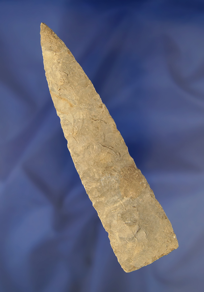 Large 5 3/8" Darl Blade found in Texas.