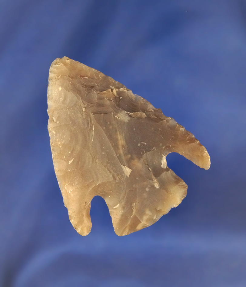 2 5/16" Castroville made from high quality semi-translucent flint found in Texas.