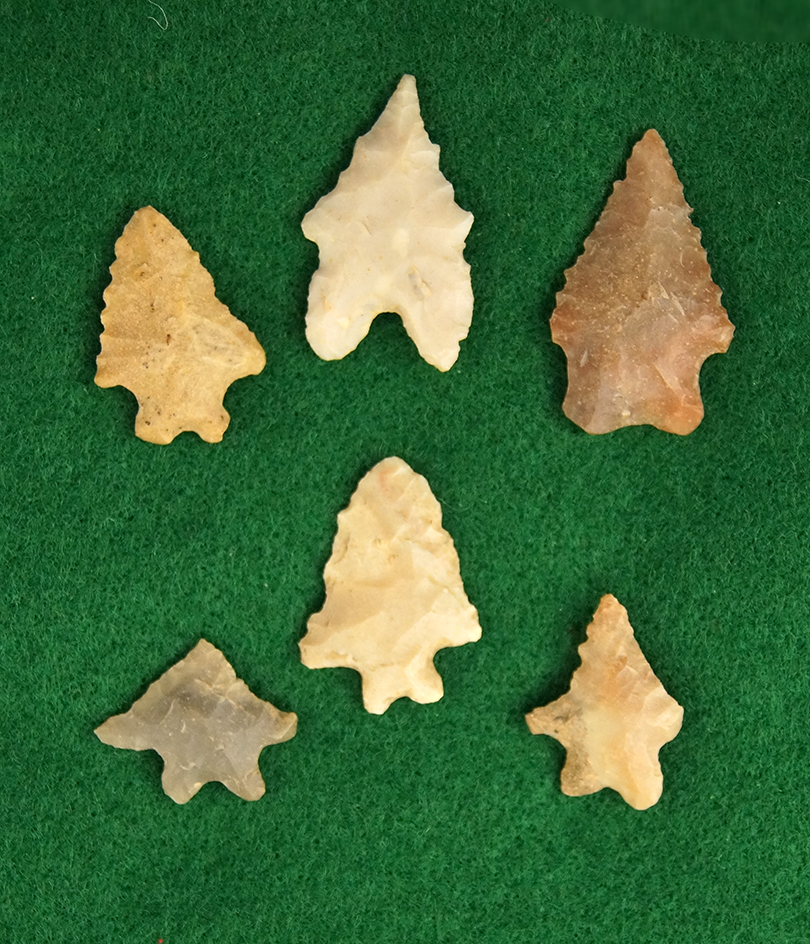 Set of 6 Bifurcates, largest is 1 7/16" found in Greenup Co., Kentucky.