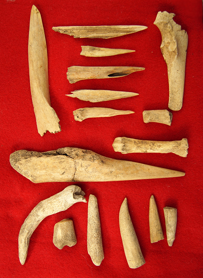 Group of 16 assorted bone tools, largest is 6 1/2" found in Greenup Co., Kentucky.