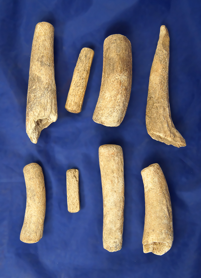 Set of 7 antler knapping tools, largest is 3 1/2"  found in Greenup Co., Kentucky.