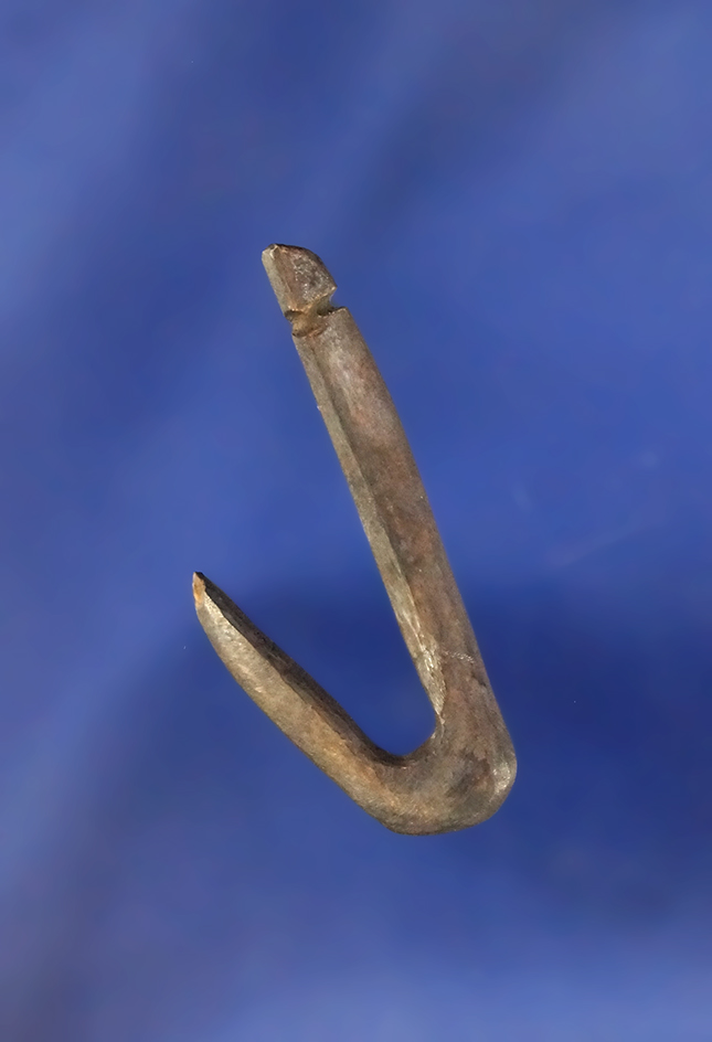 Very Nice 1 3/8" Bone Fish Hook  found in Greenup Co., Kentucky.