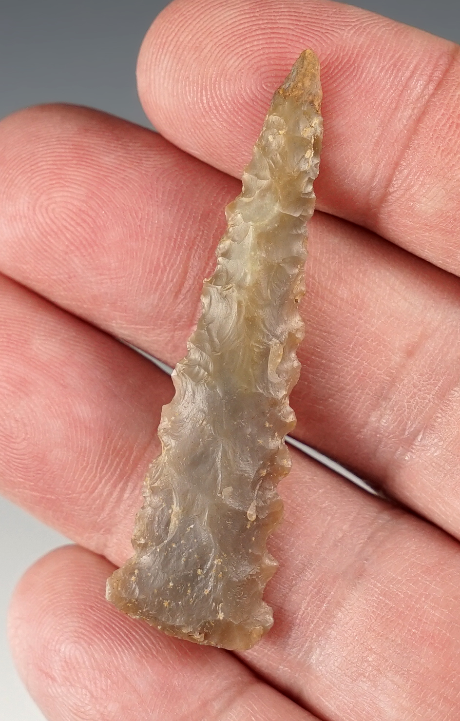 Rare, 2 1/8" Serrated Ft. Ancient Triangle found in the Kentucky/Tennessee area. 