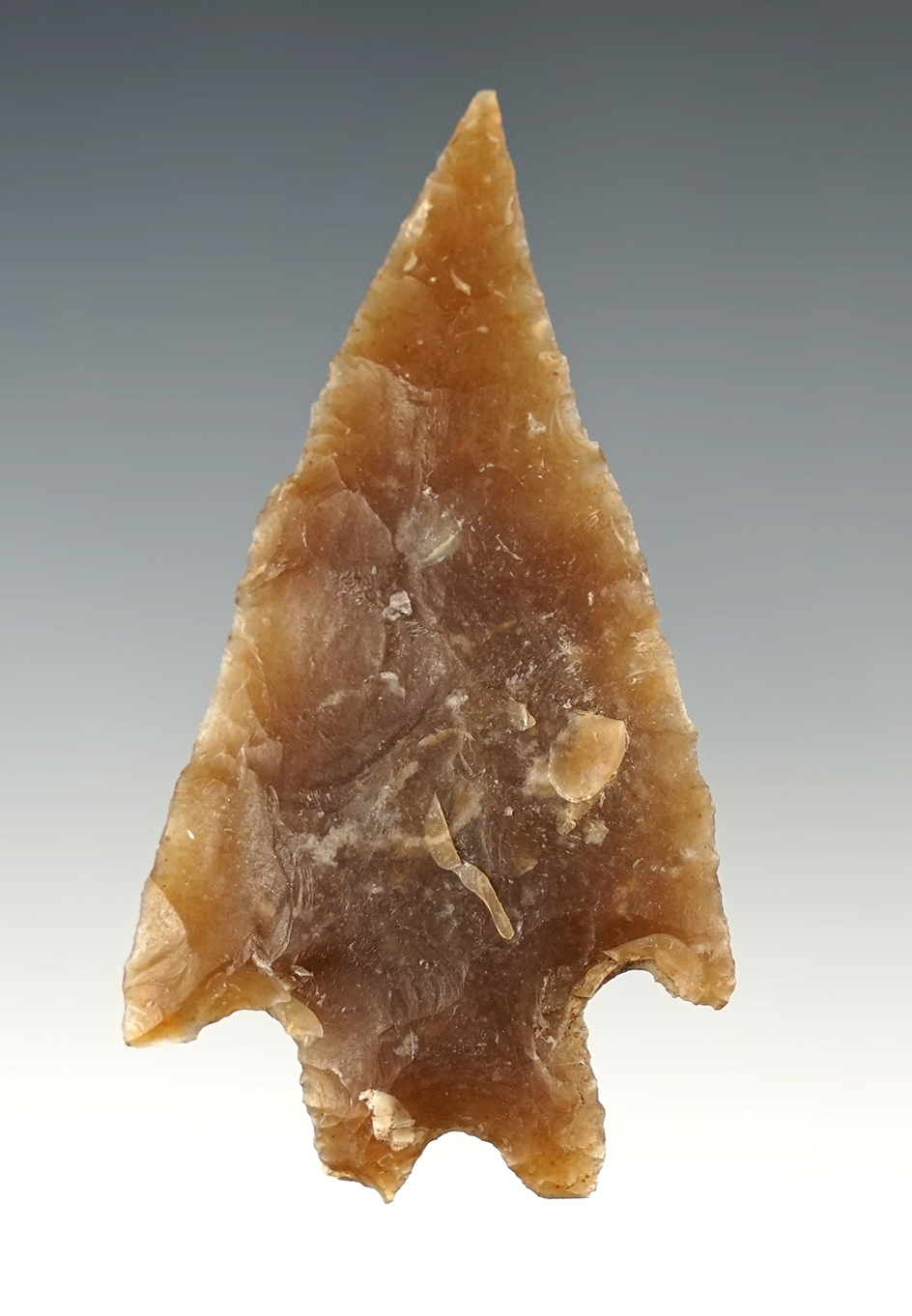 2 15/16" Pedernales found in Texas. Ex. Ferrell collection.