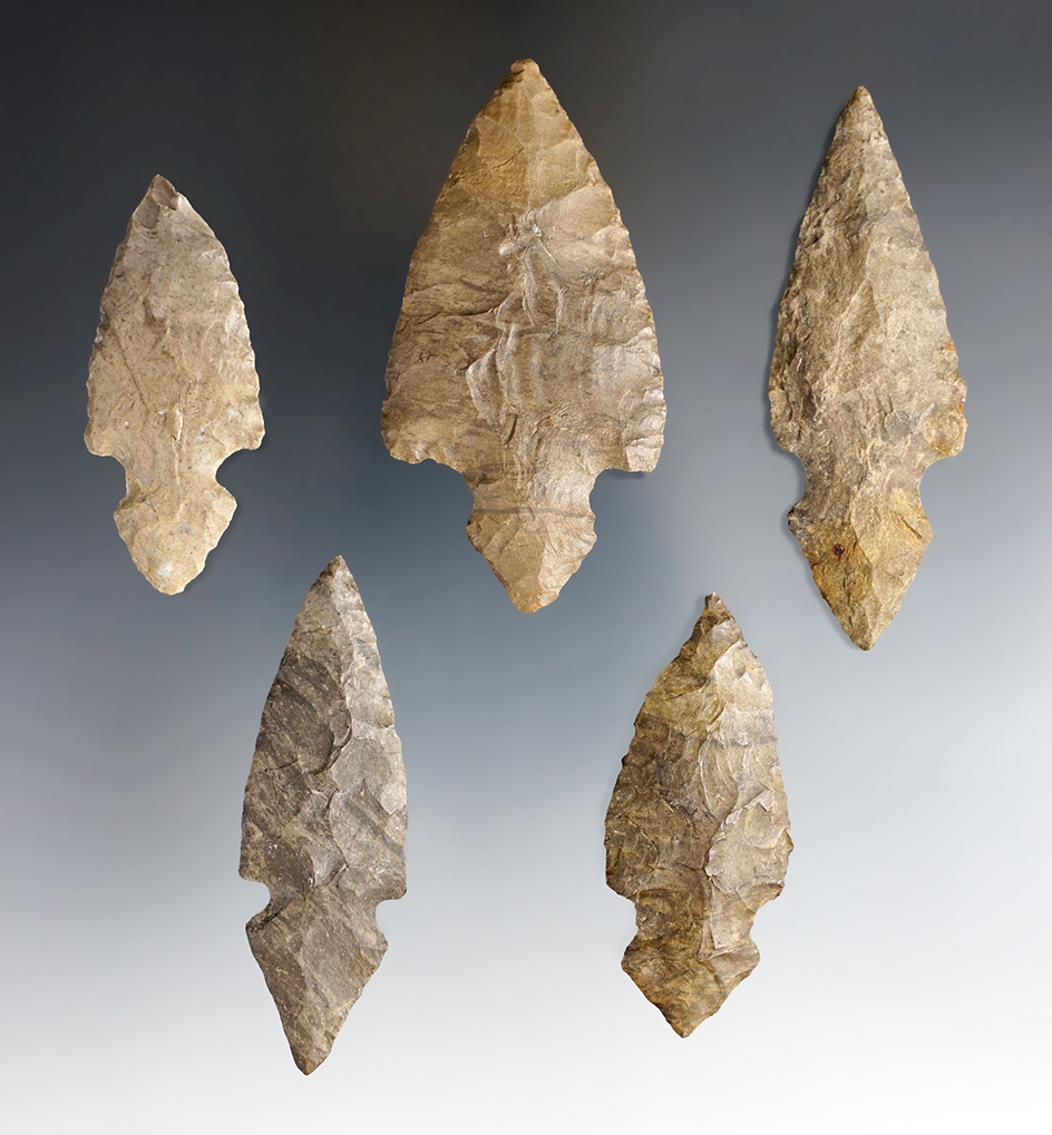 Nice Set of 5 Harrison Turkey Tail points found in a Cache in Benton Co., Tennessee. 