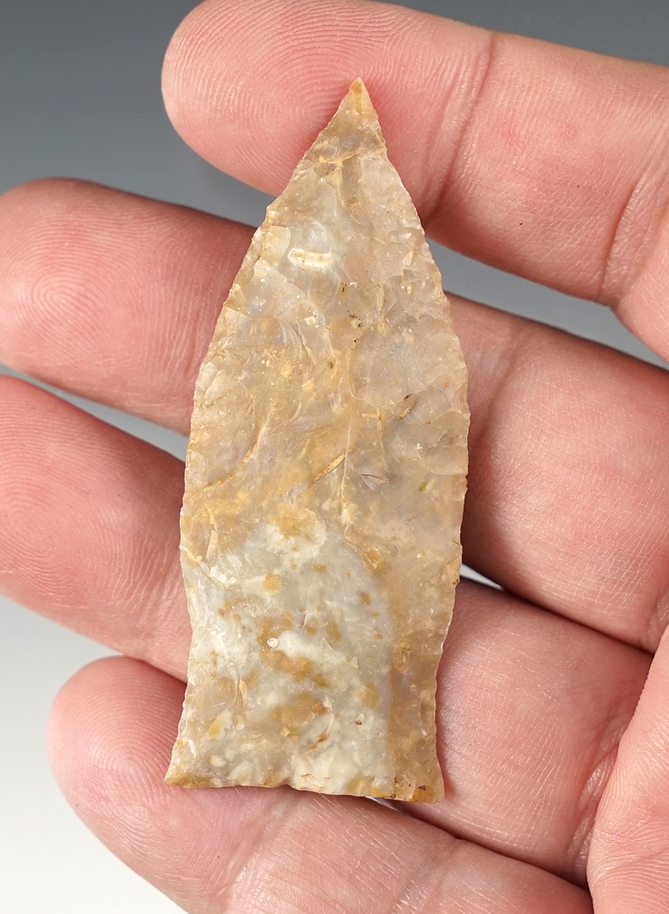 Thin and finely flaked 2 1/2" Copena found in the Kentucky/Tennessee area. 