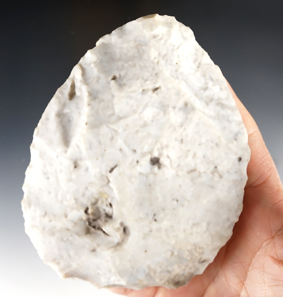 4 7/16" Biface Blade that is well patinated found in Alachua County Florida.