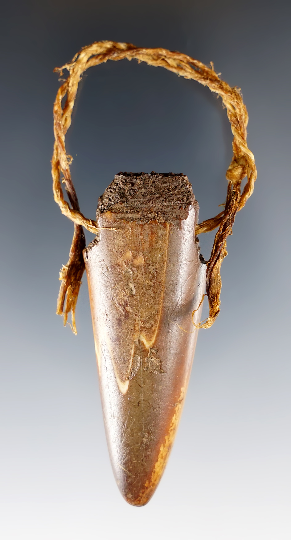 2 9/16" walrus tooth pendant with original cordage recovered in Alaska.