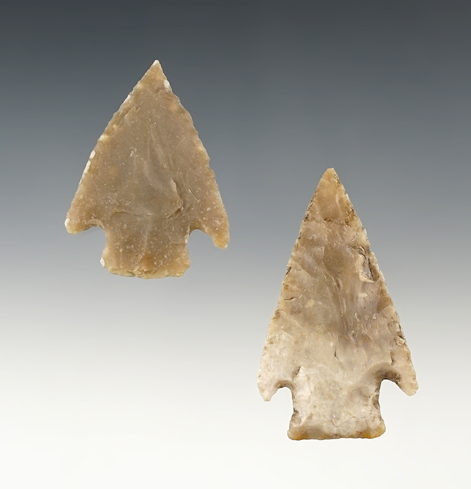 Pair of nicely styled Castroville points found in Central Texas. Largest is 2 5/16".