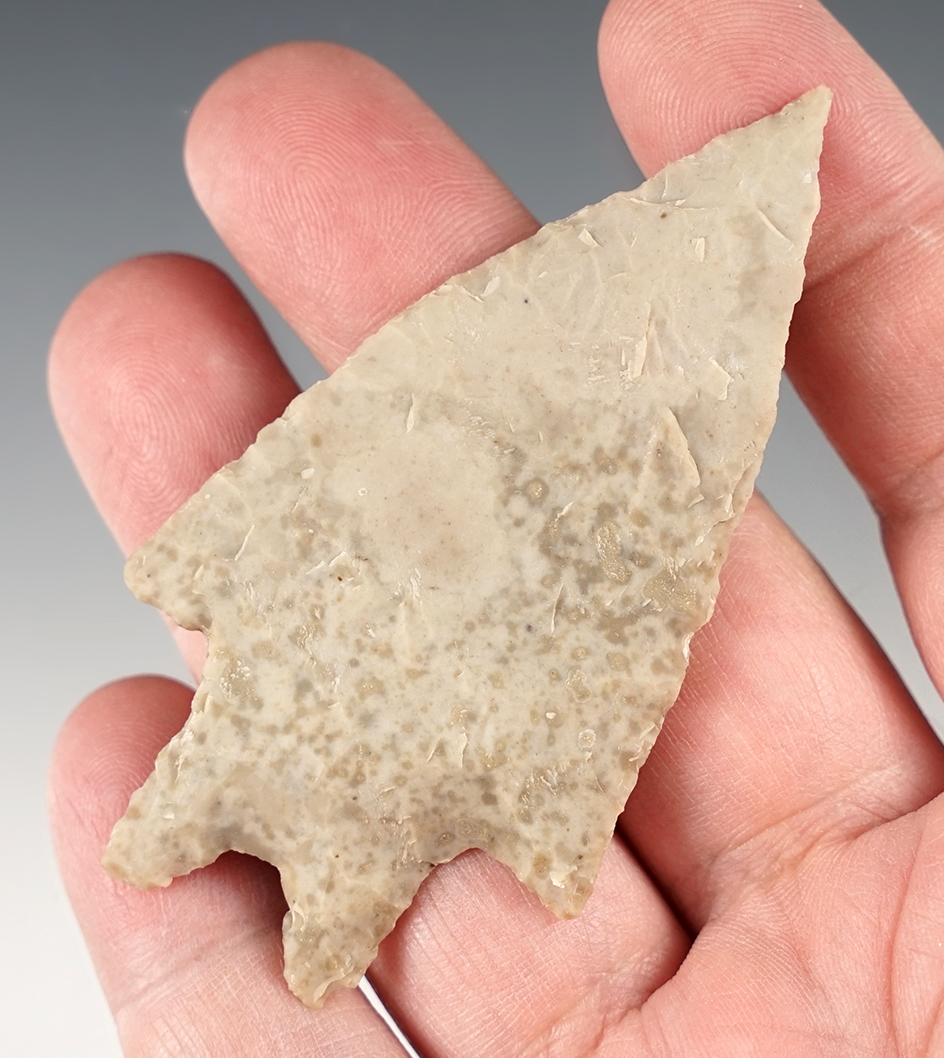 Outstanding 3 1/8" Pedernales found in Kerr Co., Texas. Comes with an Arnold COA.