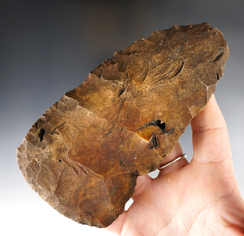 Large 5 5/8" Paleo Blade - Alachua County Florida. Ex. Len Weidner, Robert Bell collections