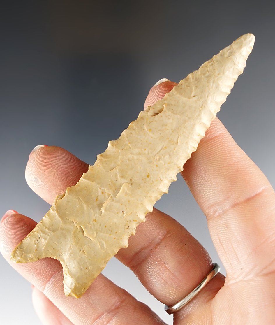 Finely flaked 3 1/2" Dalton with nice serrations. Fulton Co., Arkansas. Ex. Thompson collection.