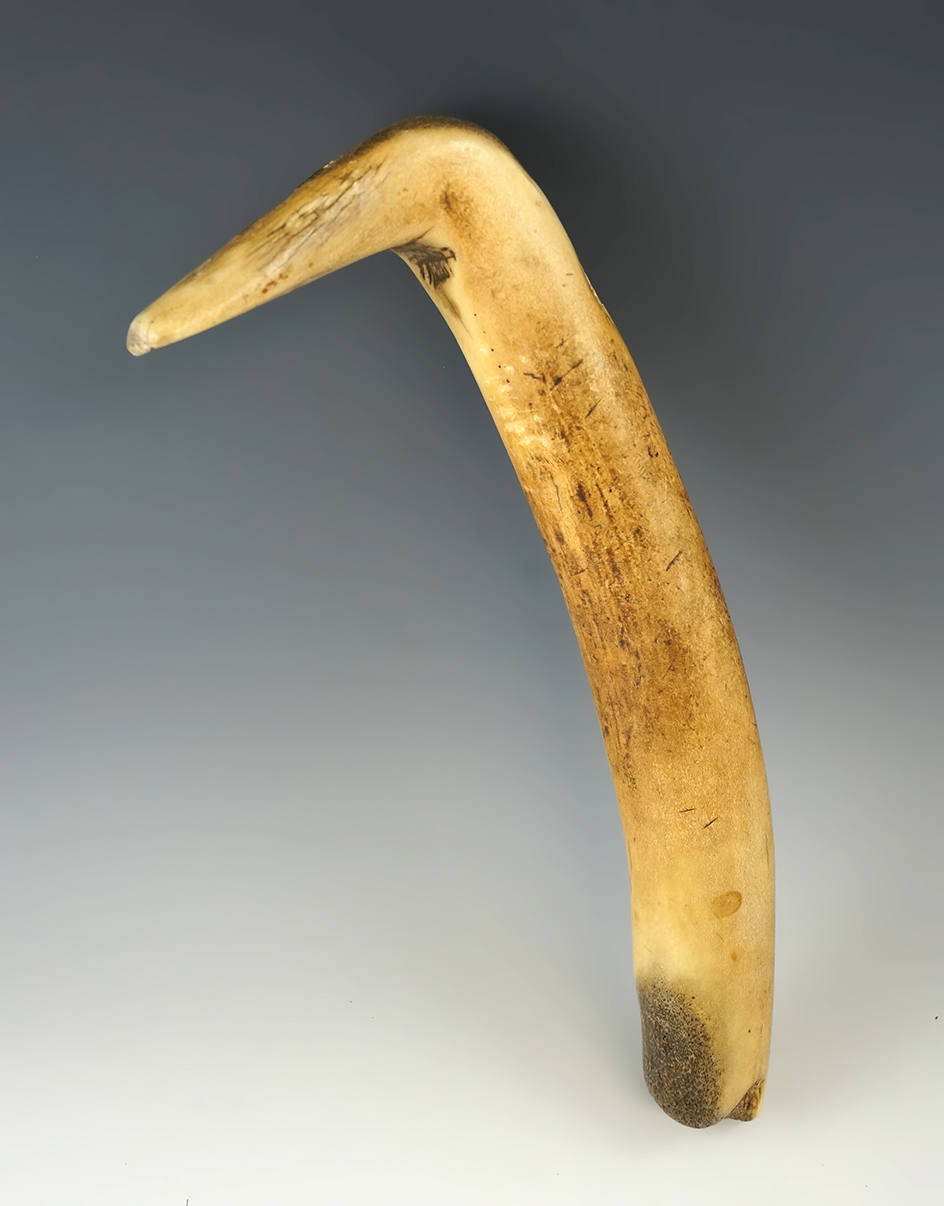 12 3/16" long elk horn hide scraper from the Missouri River area.