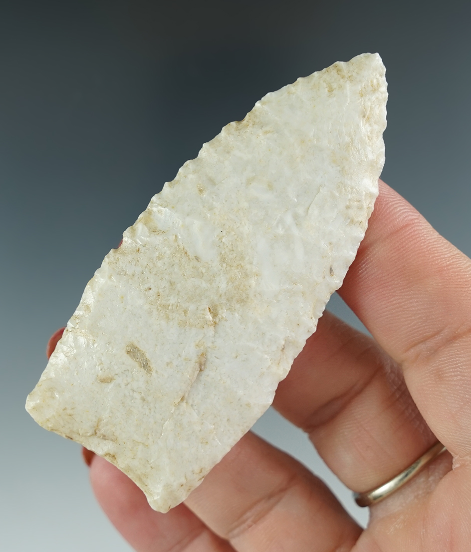 Rare Style! 2 15/16" Paleo Allen found near Union, Otoe Co., Nebraska. Comes with a Rogers COA.