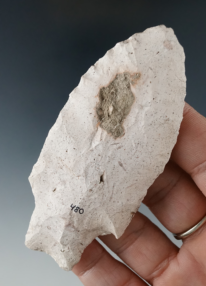 3 7/16" Hamilton found in Levy Co., Florida.