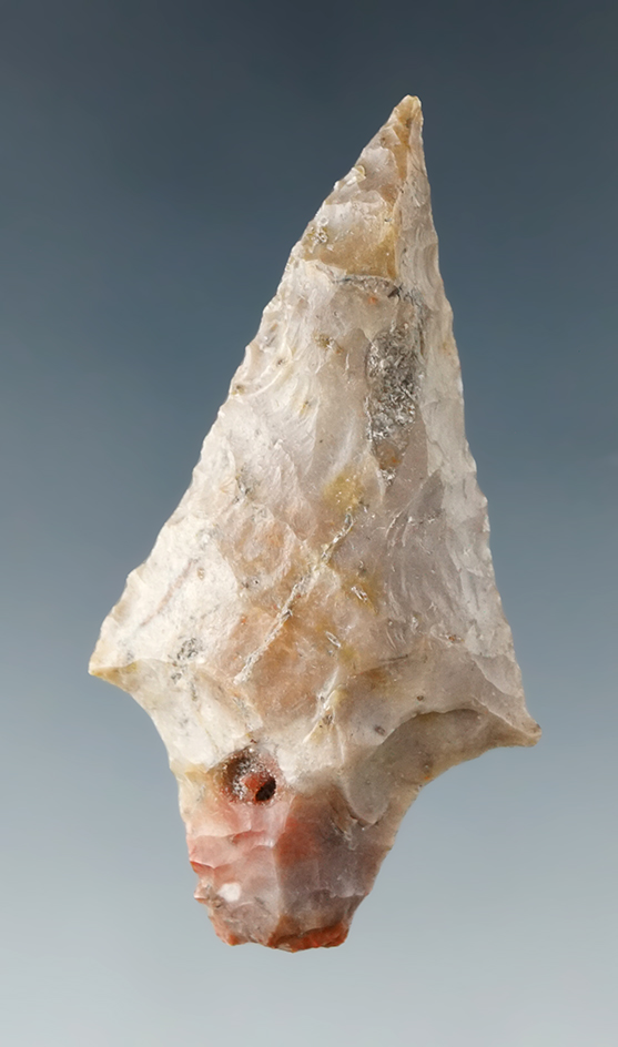 2 3/16" Hardee point made from attractive multicolored material found in Pasco Co., Florida.