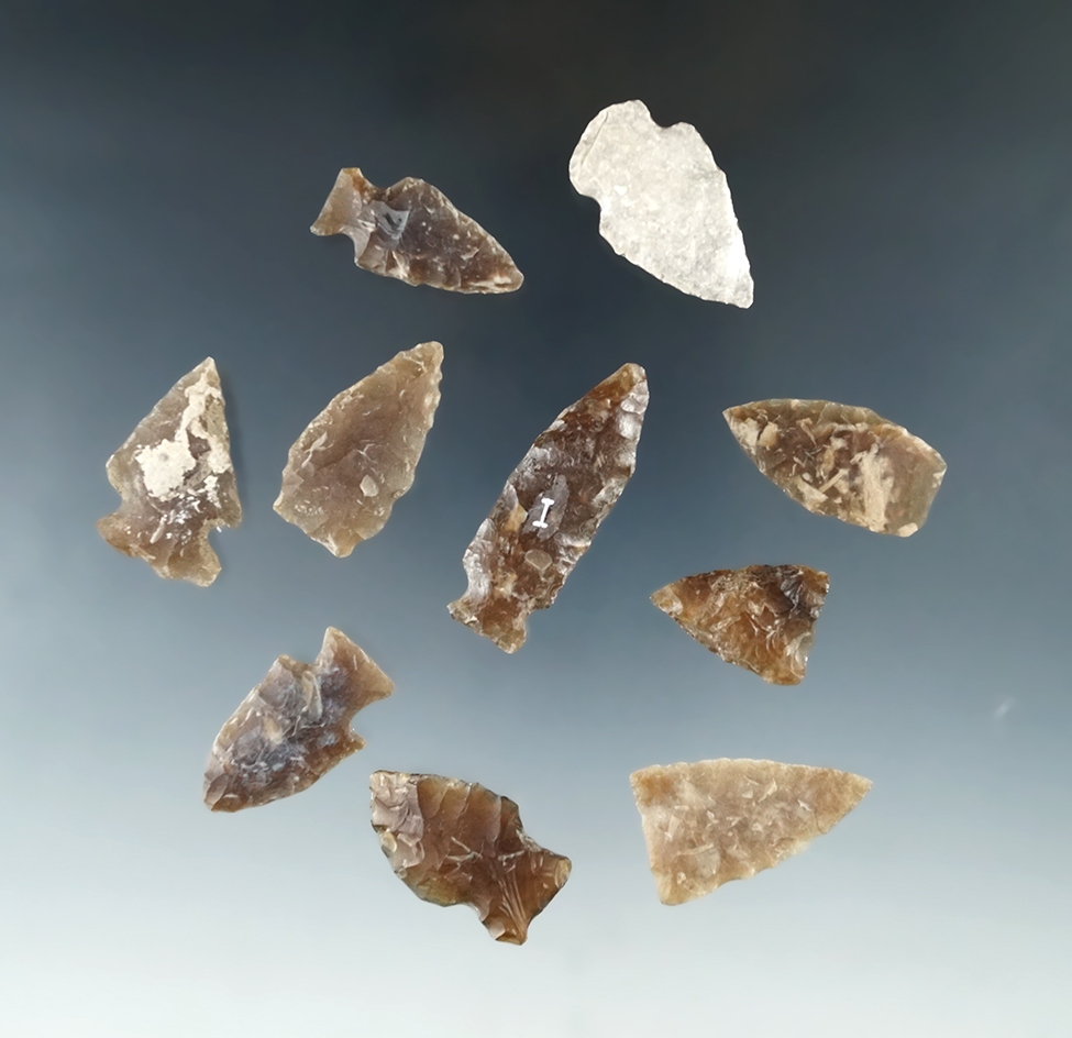 Set of 10 assorted arrowheads which were glued to a board found in the Dakotas, largest is 1 9/16".