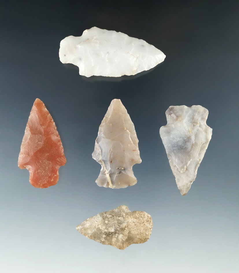 Set of five assorted arrowheads found in Arkansas, largest is 2 1/16".