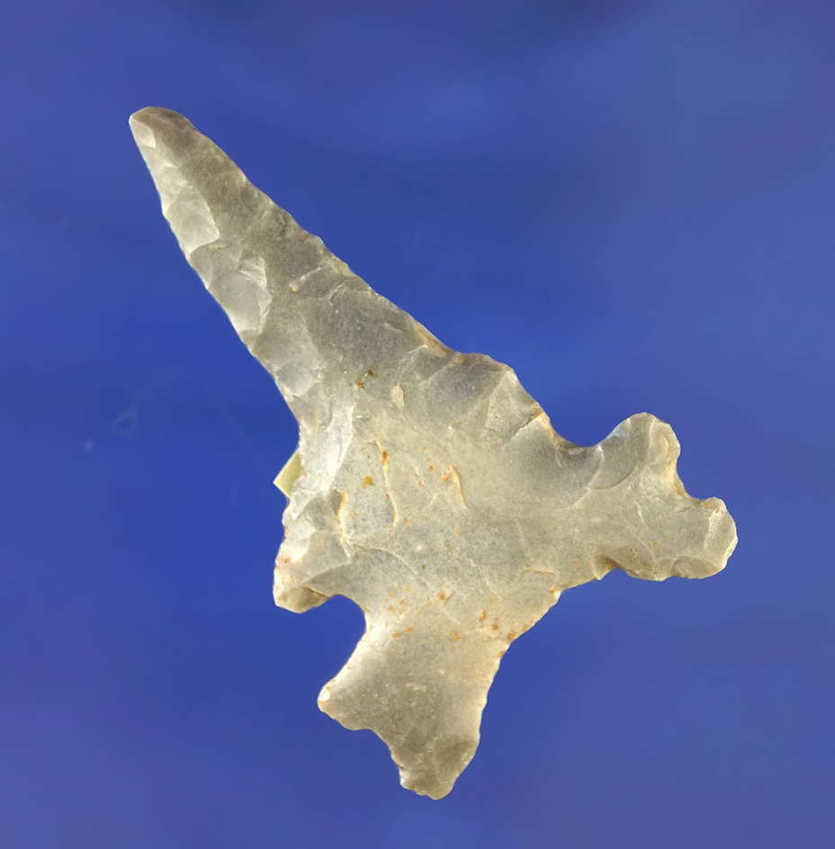 Very unique! 2 1/16" Side Notch Drill made from hornstone found in Kentucky with extra notches