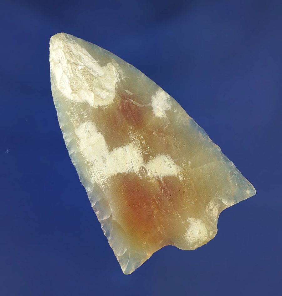 2 1/4" Hillsboro made from beautifully translucent heat-treated Agatized coral found in Florida.