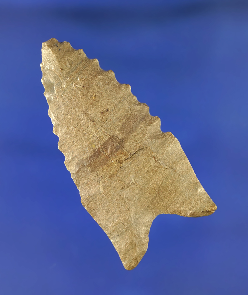 1 15/16" classic styled Dalton with nice serrations found in clay Co., Arkansas.