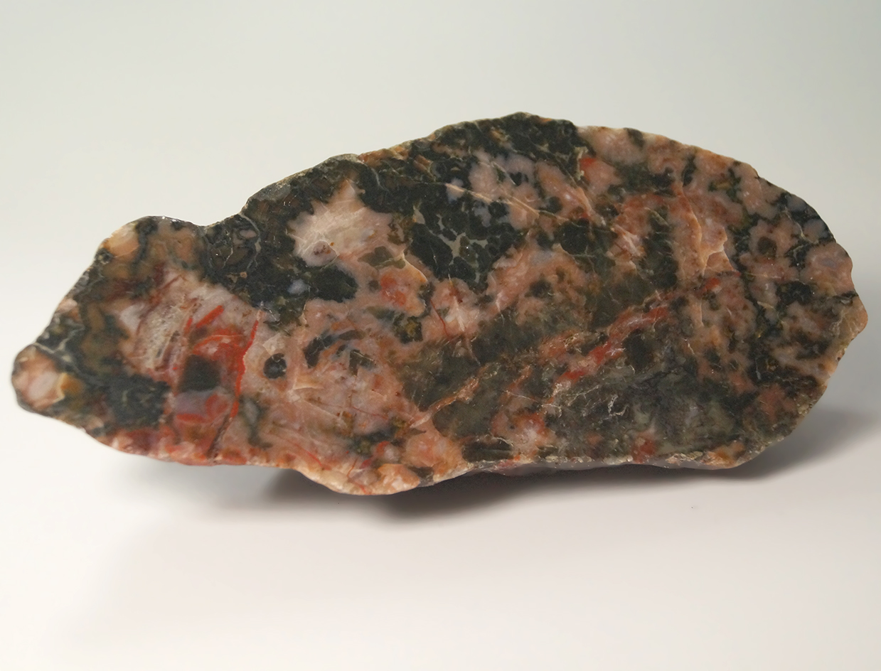 4 7/8" Polished Coprolite, Southern Colorado