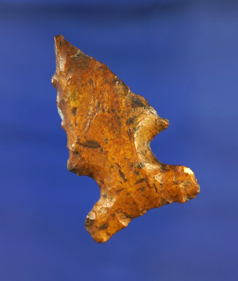 Beautiful heavy river stain on this 1 7/8" deeply beveled Bolen found in northern Florida.