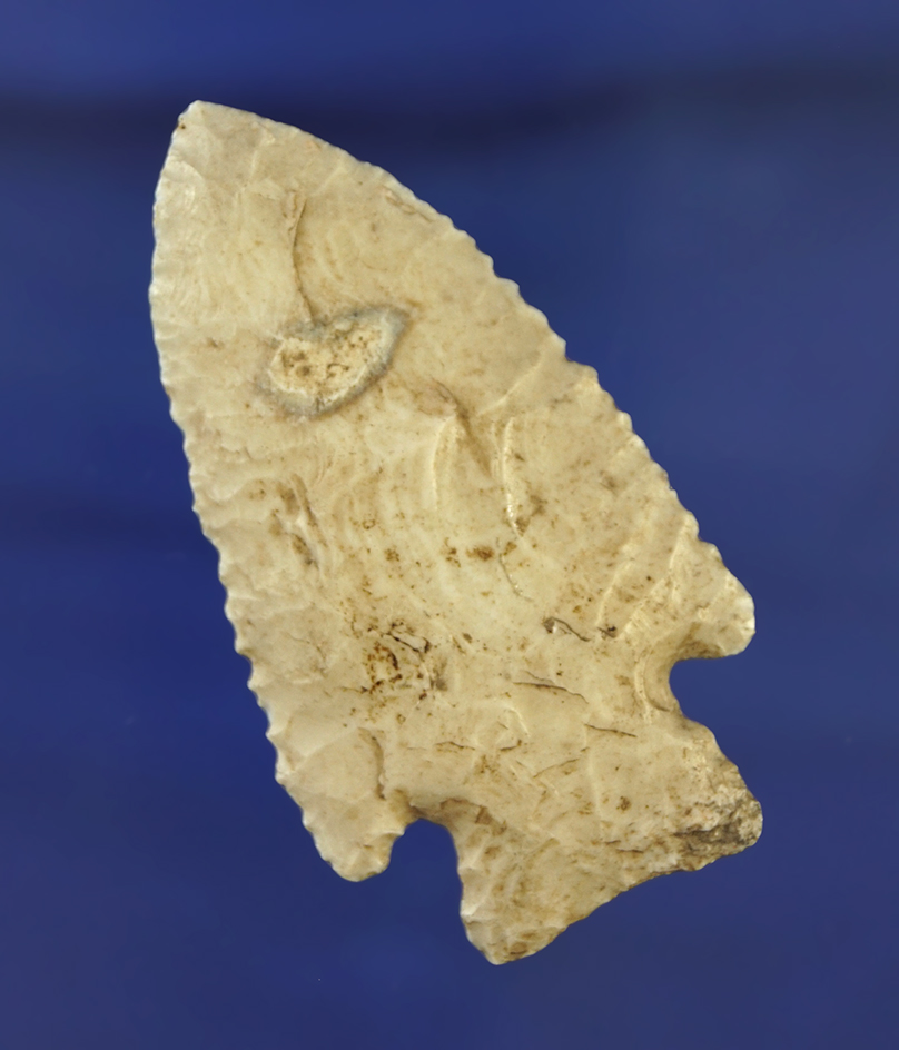 Nice edge serrations on this 2 9/16" Hardin found in Pike Co., Illinois.