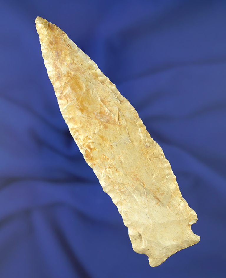 5 1/2" Sedalia found in Quincy, Illinois. Ex.  Spalding collection. Comes with a Dickey COA.