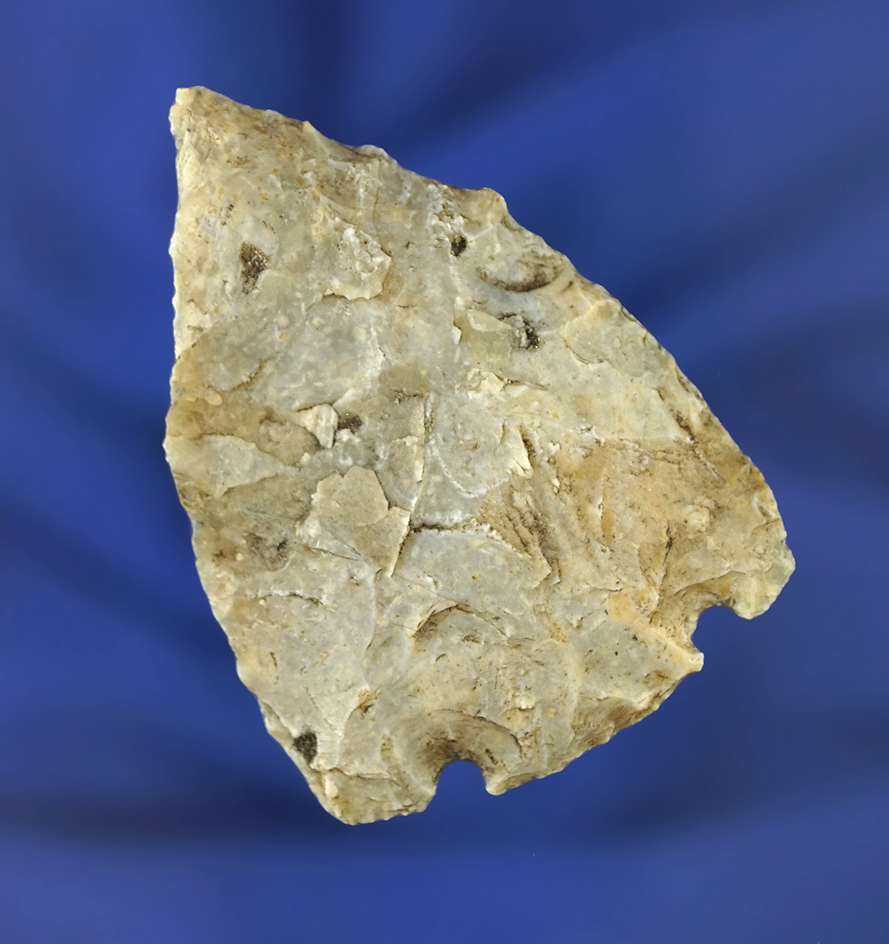 1 and 15/16" Basal Notched Citrus point found in Florida.