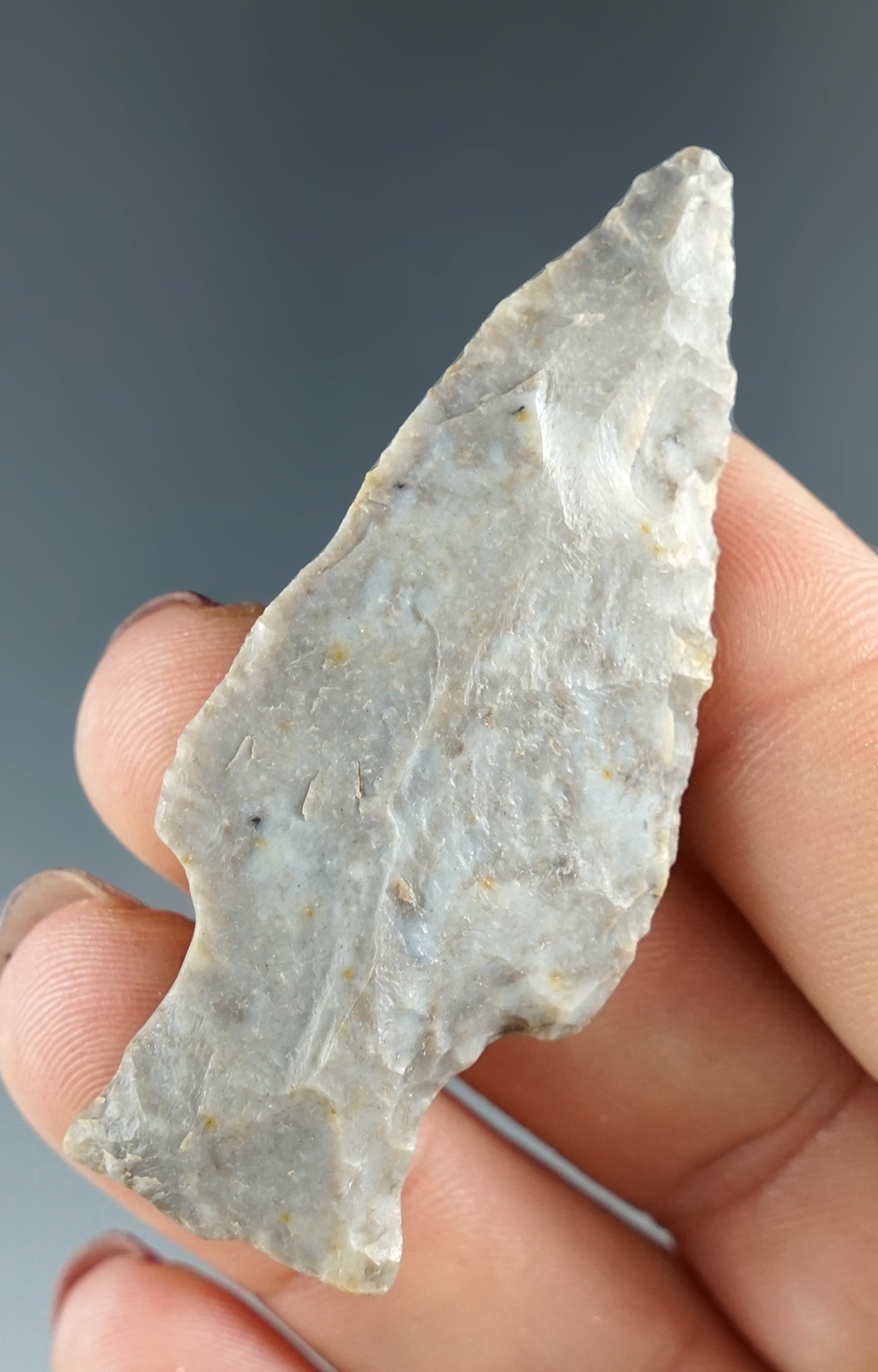 2 5/16" Orient point found in Pennsylvania.