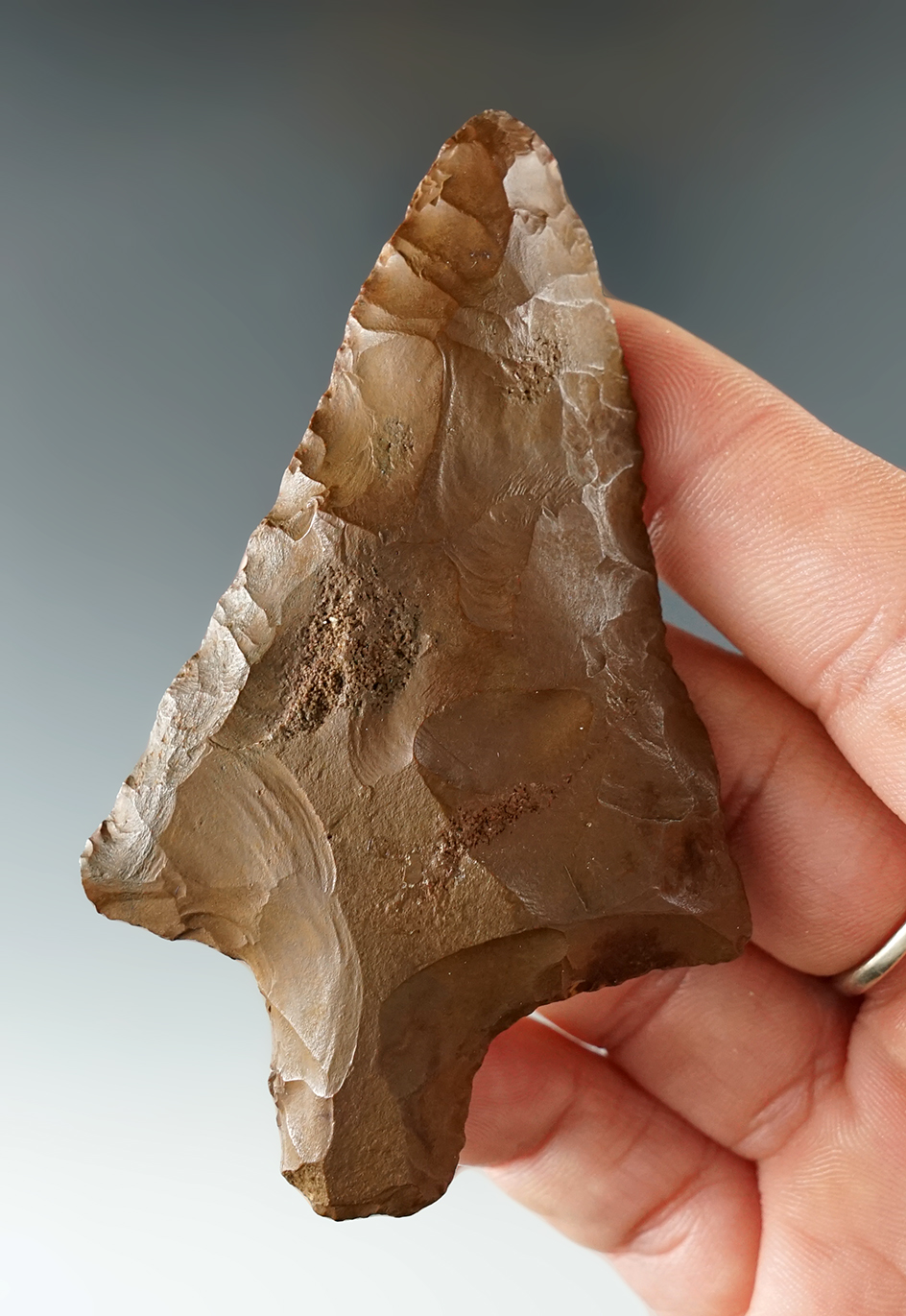 3 1/4 Marion found in Miller Co., Georgia. Ex. Kevin Dowdy.