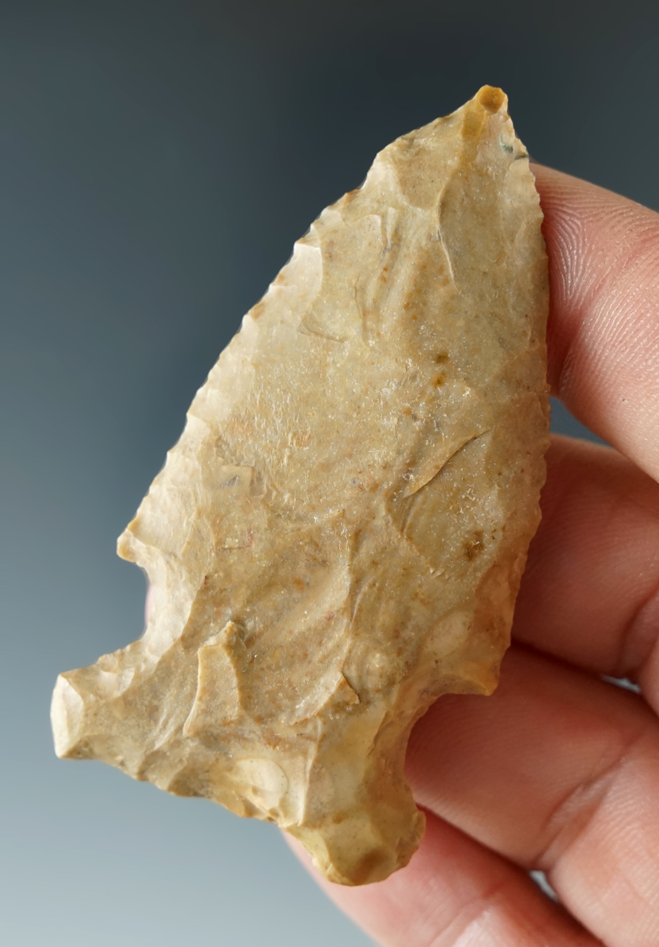 2 7/16" Hickory Ridge found in Yell Co., Arkansas.