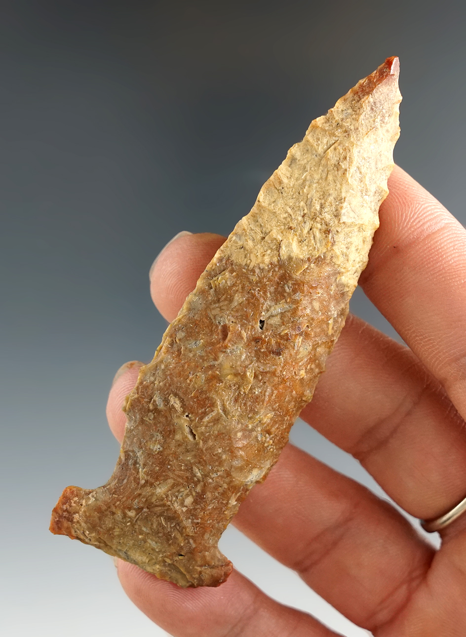 3 3/16" Bolen found in Florida. Ex. Terry Elleman collection.