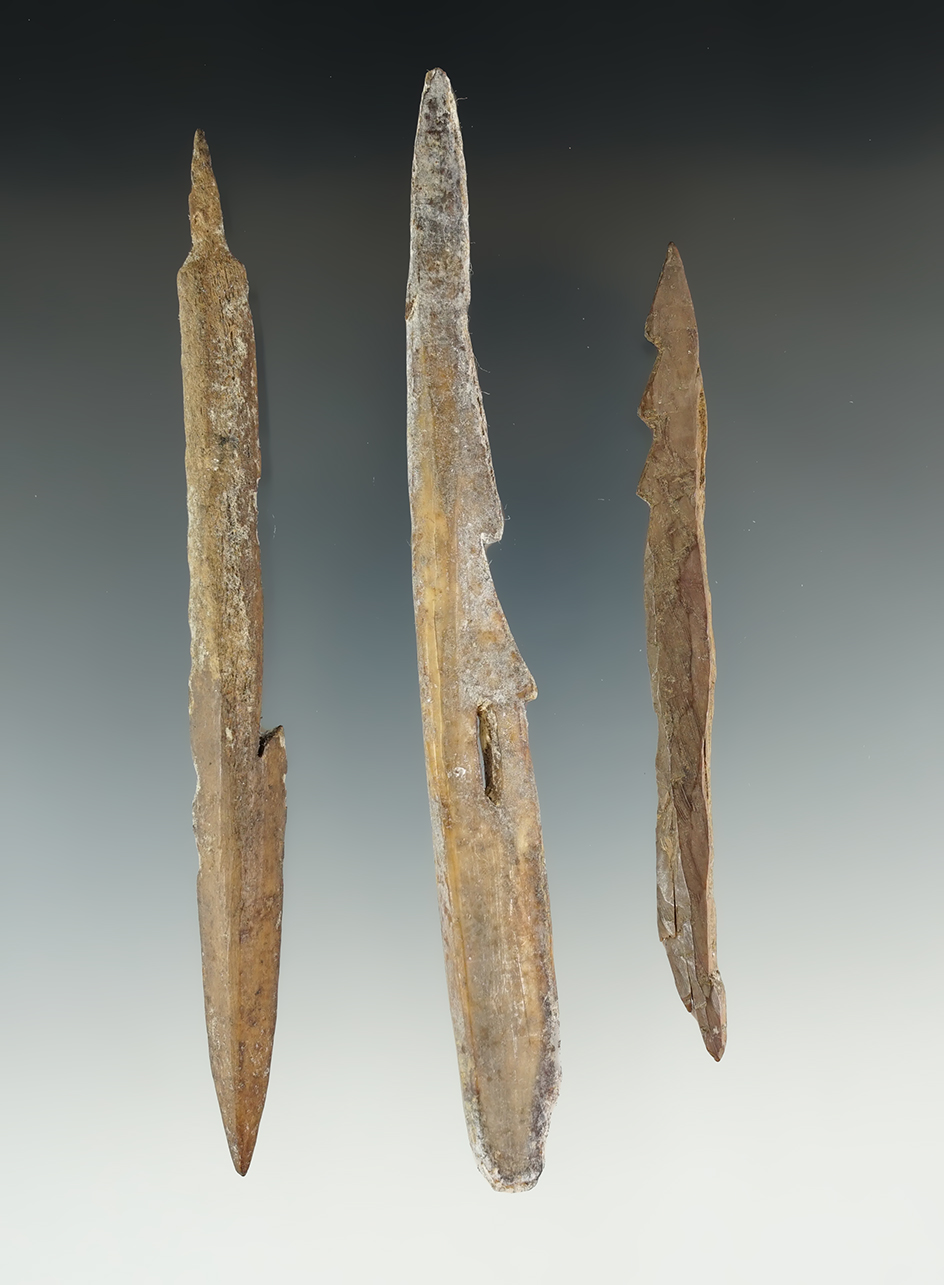 Set of three Inuit bone harpoon tips recovered in Alaska. Largest is 5 1/4".