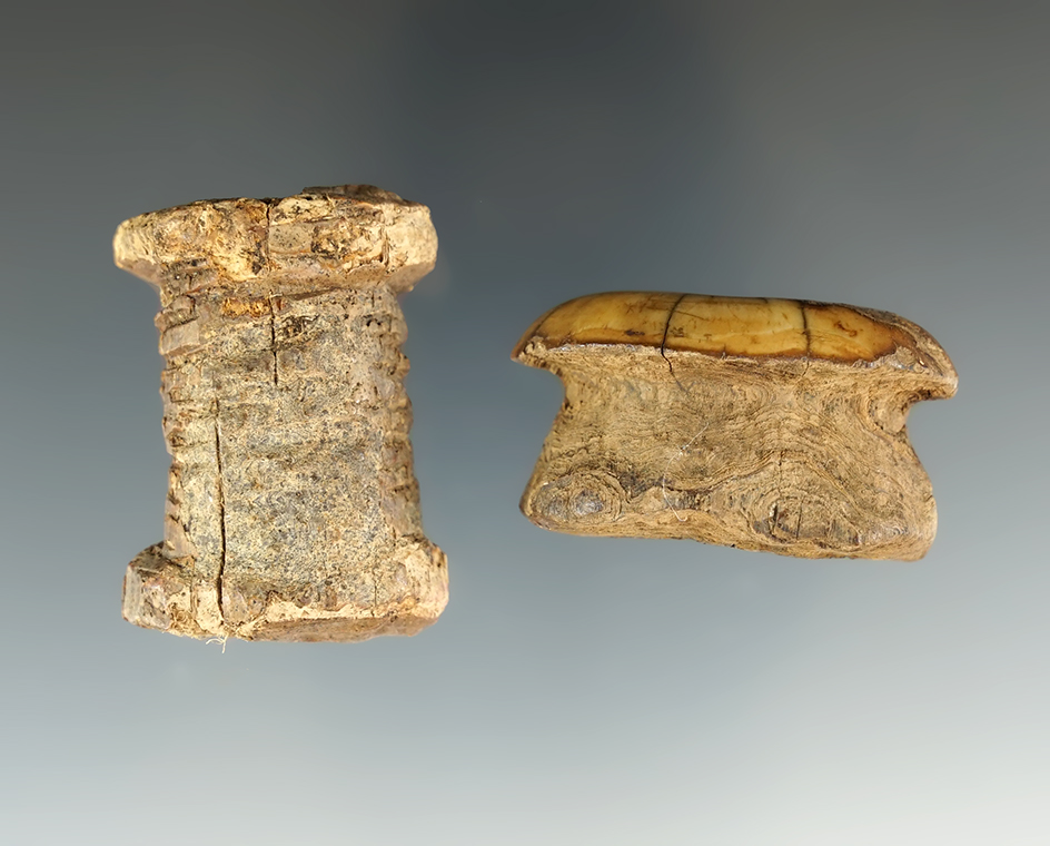 Bone and ivory Inuit bladder plugs recovered in Alaska. Largest is 1 3/8".