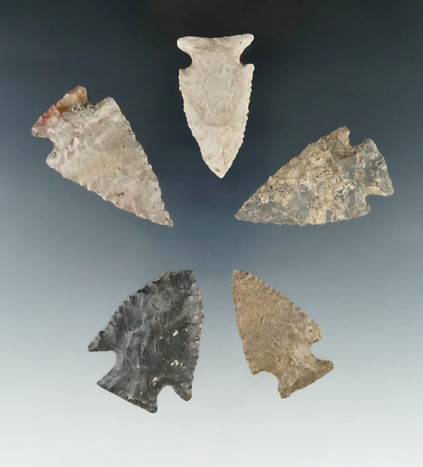 Set of five assorted arrowheads found in Tennessee, largest is 2".