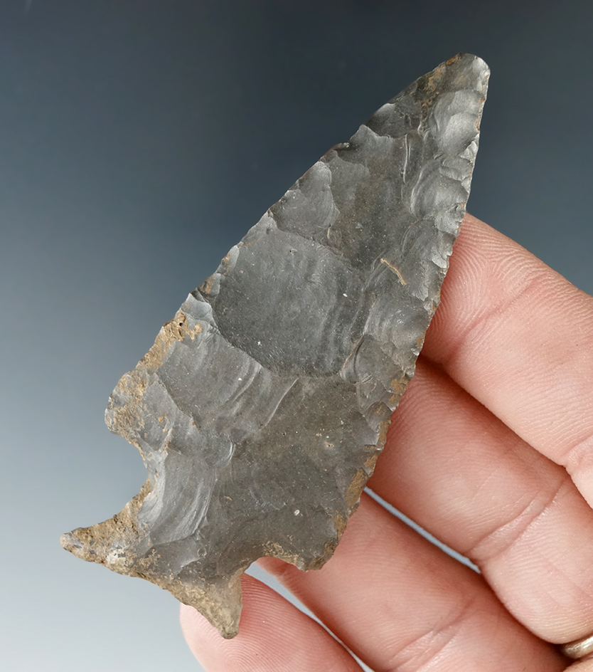 2 13/16" Motley point found in Tennessee.