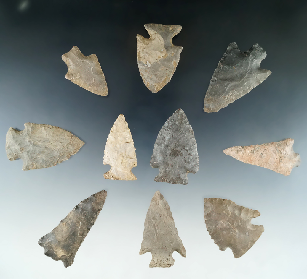 Set of 10 assorted Tennessee points, all and nice condition, largest is 2 1/4".